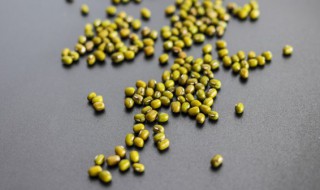 绿豆可以和虾一起吃吗 绿豆和虾适合一起食用吗