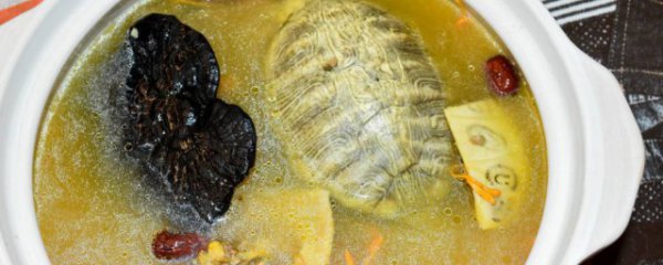 吃乌龟肉的好处和坏处