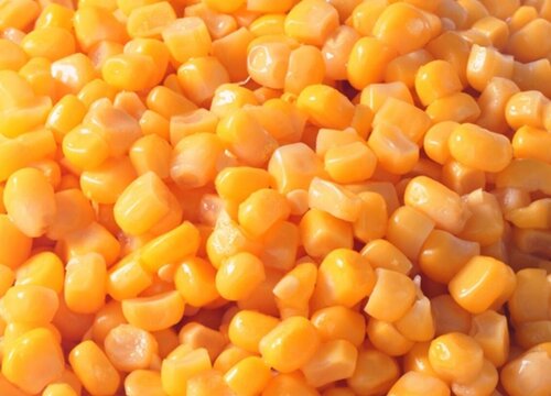 每个玉米粒上都有一个黑点怎么回事