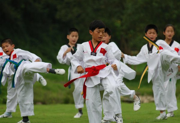 散打和跆拳道哪个厉害更实用