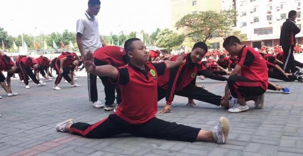 散打和跆拳道哪个厉害更实用