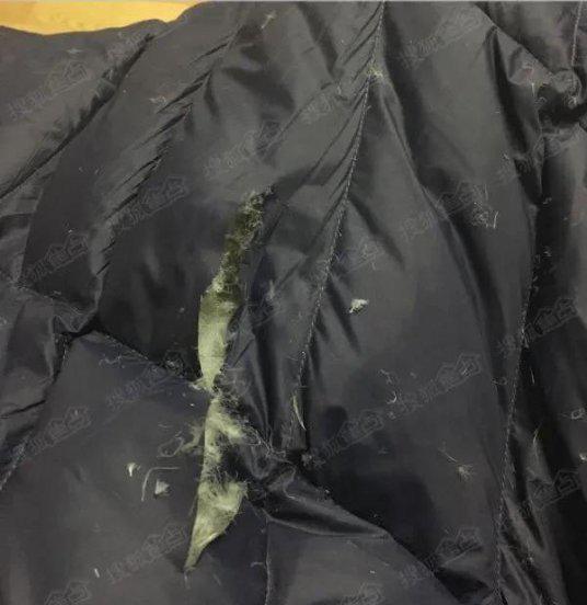 在家清洗羽绒服的最好方法