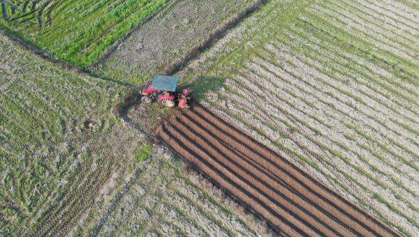 耕地地力保护补贴是什么意思