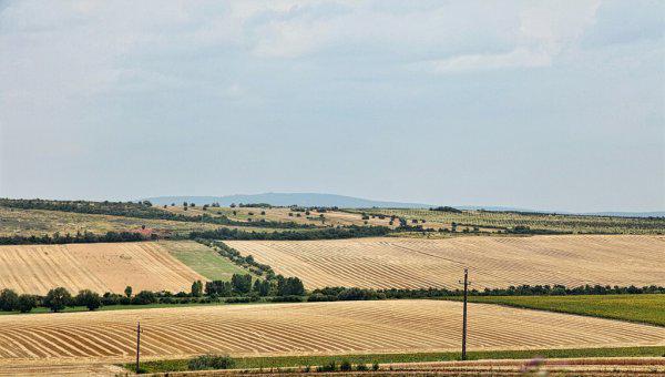 耕地地力保护补贴是什么意思