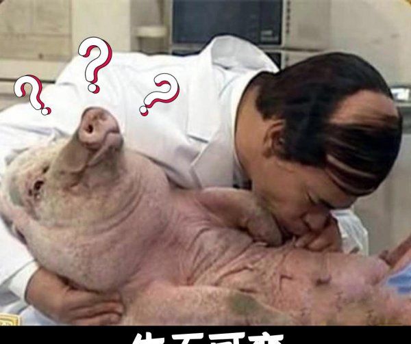 猪奶为什么没人喝