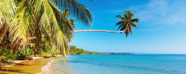 过年去哪旅游景点好看