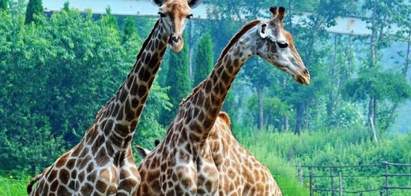 大连旅游必去十大景点