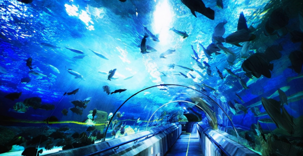 大连旅游必去十大景点