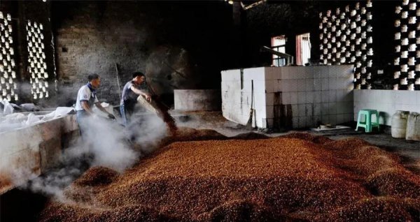 古井贡酒是哪里生产的