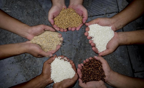 古井贡酒是哪里生产的