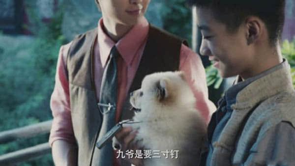 汪家人为什么怕狗