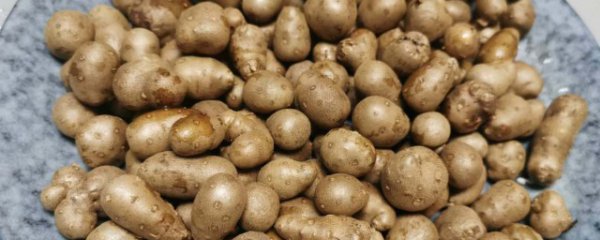 山药豆能生吃吗