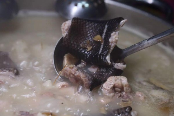 广东龙虎凤是什么菜