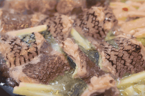 广东龙虎凤是什么菜