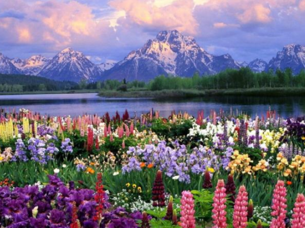 被成功男人看上的星座女