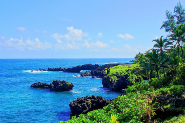 被成功男人看上的星座女