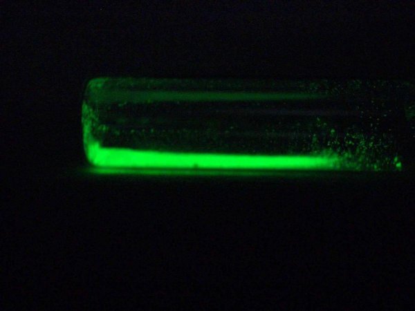 夜明珠是怎么形成的