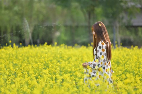 屁大点事就发朋友圈的女人说明啥