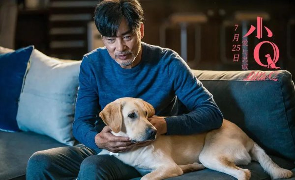 关于狗的电影排行榜前十