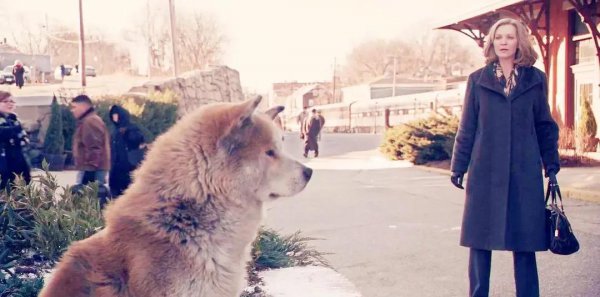 关于狗的电影排行榜前十