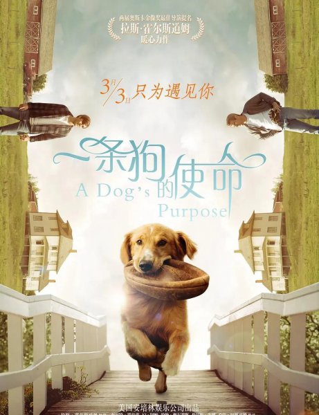 关于狗的电影排行榜前十