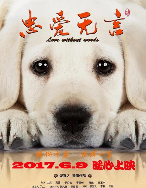 关于狗的电影排行榜前十