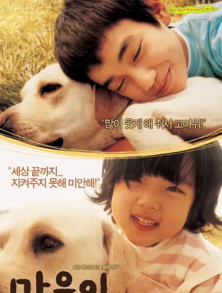 关于狗的电影排行榜前十