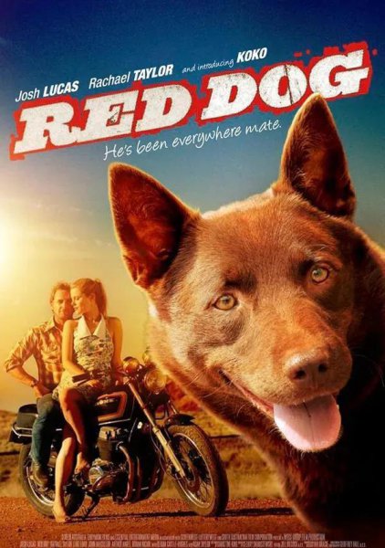 关于狗的电影排行榜前十