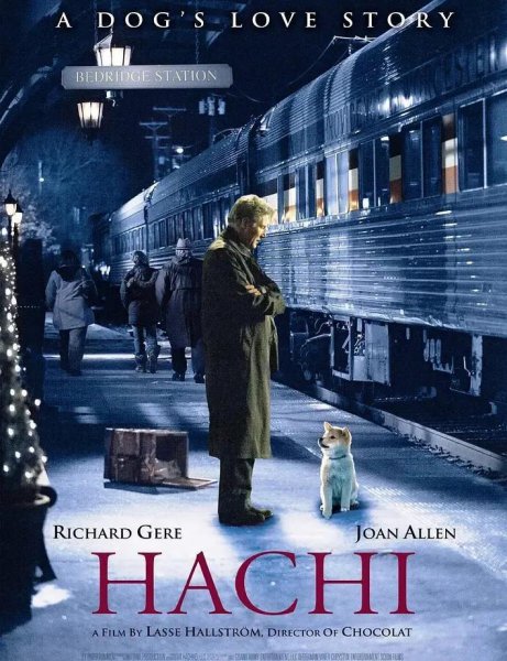 关于狗的电影排行榜前十