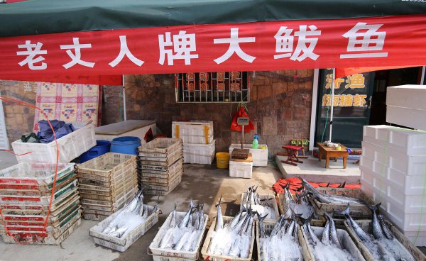 黄金鲅鱼和鲅鱼的区别