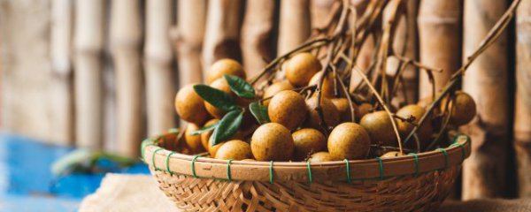 龙眼保存方法和注意事项