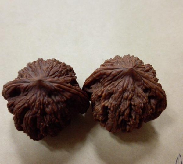 刷核桃用什么刷子最好包浆