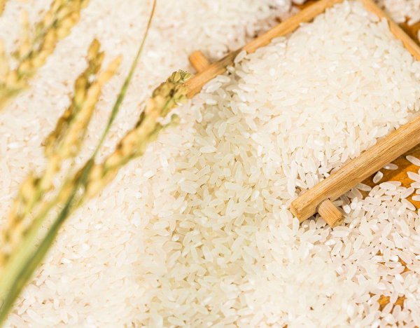 大米1354是不是最次的米