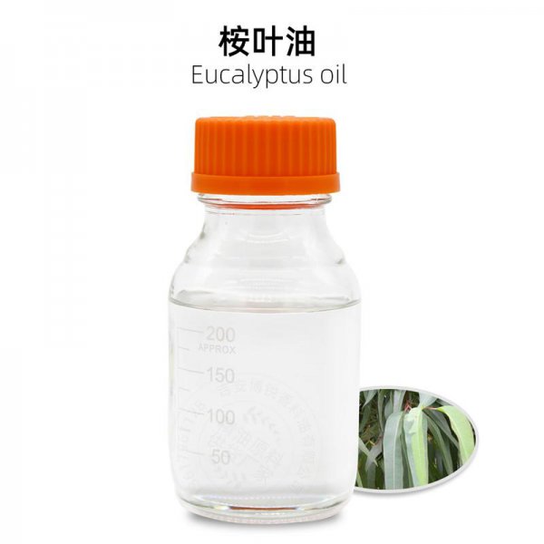 世界最高的树有多少米