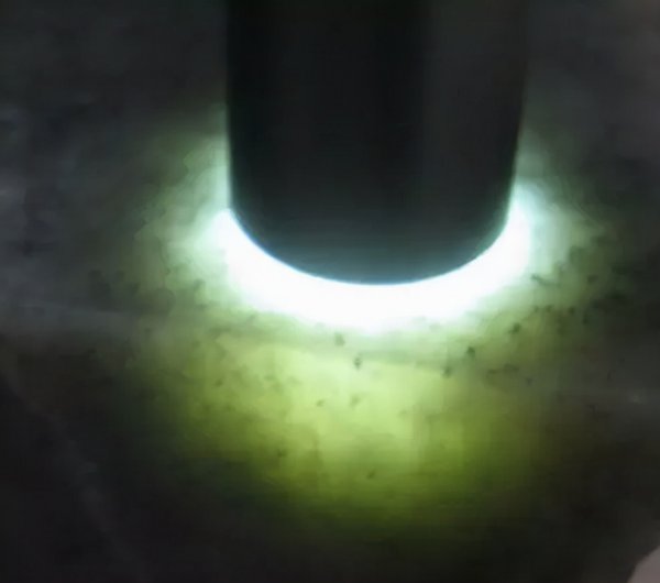 青花籽料和墨玉籽料的区别