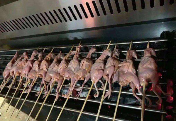 芦丁鸡家庭养殖方法介绍