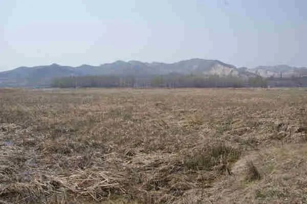 有钱不买河边地光棍不娶活汉妻什么意思