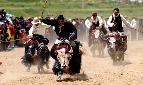 藏族有什么节日