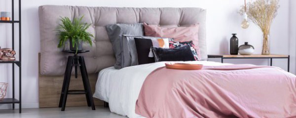 房间里霉味怎么去除