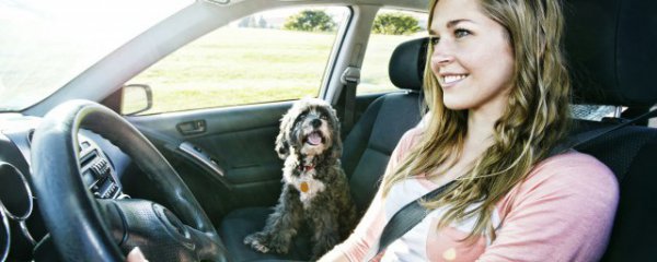 退车险需要什么手续