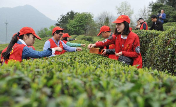 西部计划和三支一扶哪个好