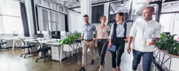 白领蓝领等级区别