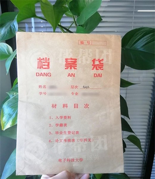 大专毕业档案在自己手里怎么办