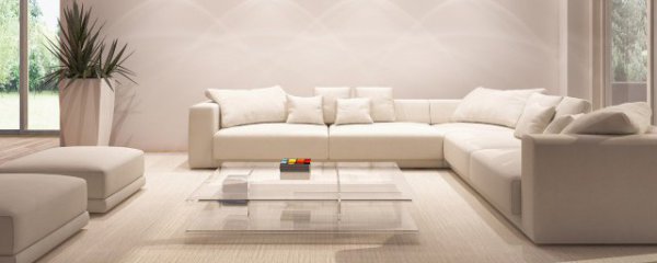 客厅放什么花最好