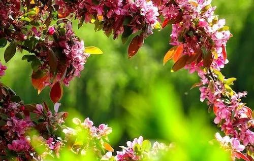 红颜知己啥意思