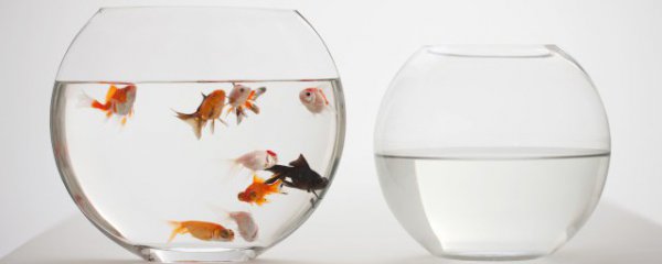 住房放什么摆件招财