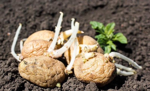 马尔代夫在哪个国家的位置