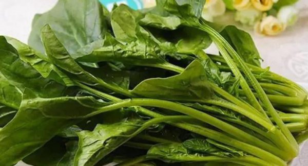 吃什么蔬菜减肥效果最好最快