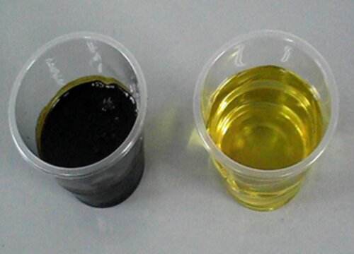 废油如何用来养护金钱树