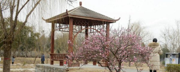 新乡有哪些景区